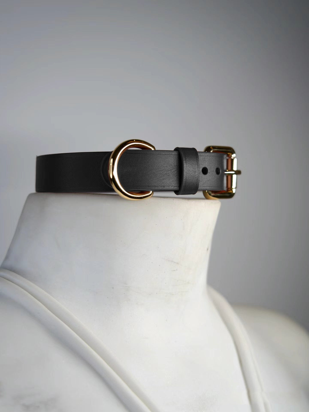 A sleek black leather collar with a gold D-ring and buckle, offering a refined and bold accessory for your BDSM collection.