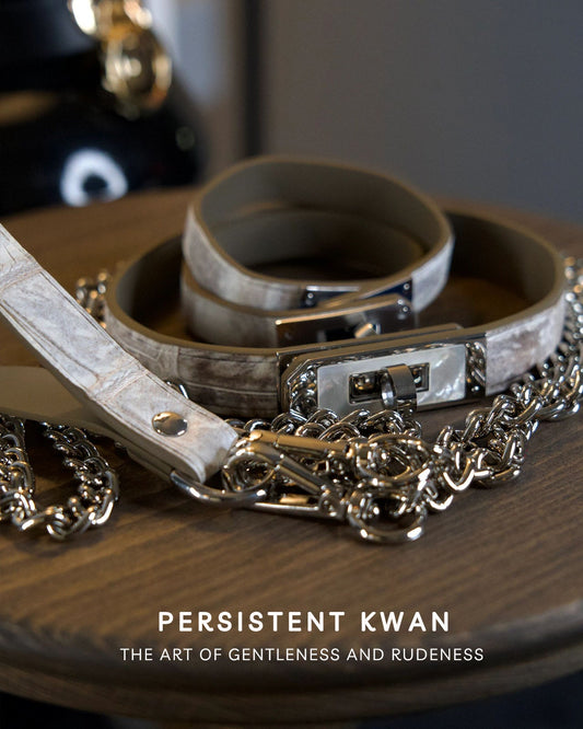 Discover the Power and Elegance of BDSM Chokers: A Deep Dive - Hush