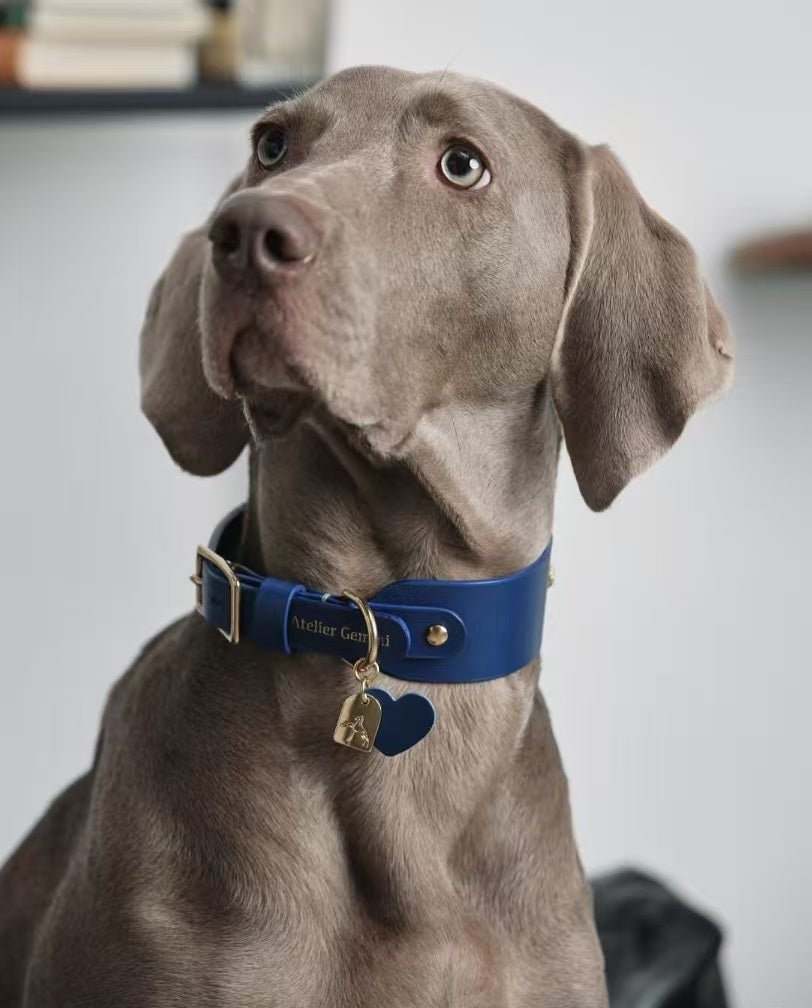 Silent Paws Collection - Hushcrafts LLC