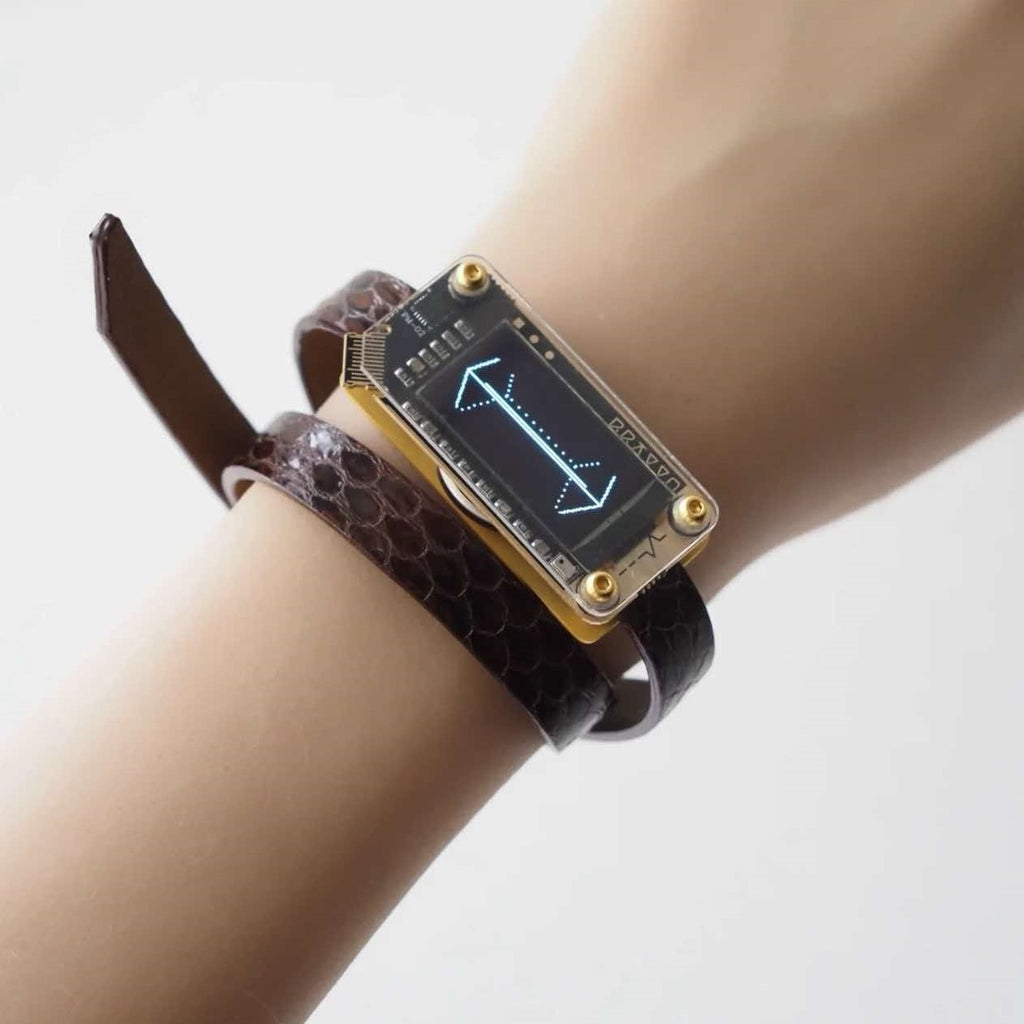 EchoWave II – Snakeskin LED Choker & Bracelet, Custom Engraving | Hushcrafts®