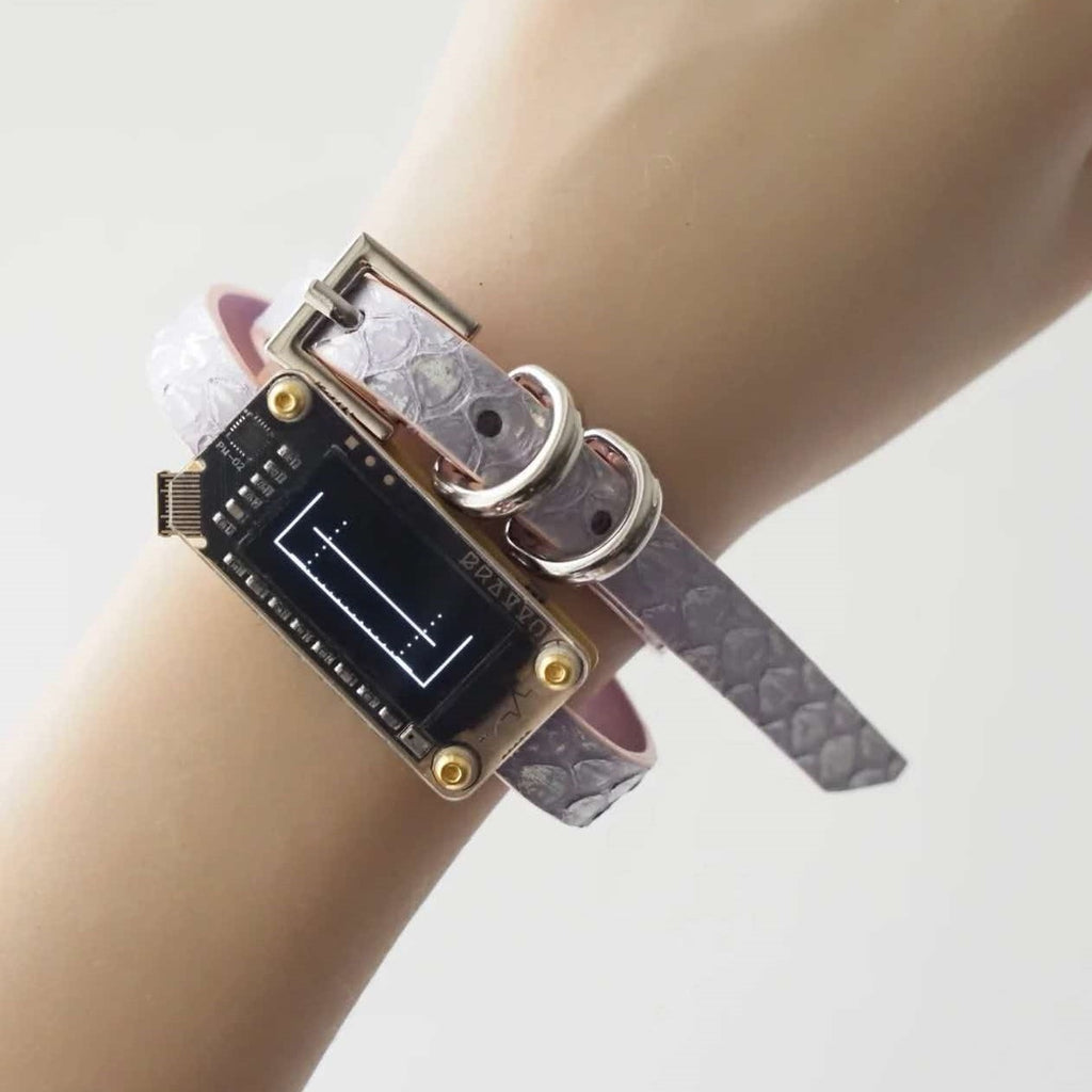 EchoWave II – Snakeskin LED Choker & Bracelet, Custom Engraving | Hushcrafts®