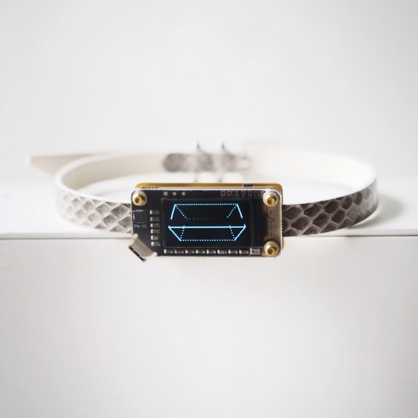 EchoWave II – Snakeskin LED Choker & Bracelet, Custom Engraving | Hushcrafts®