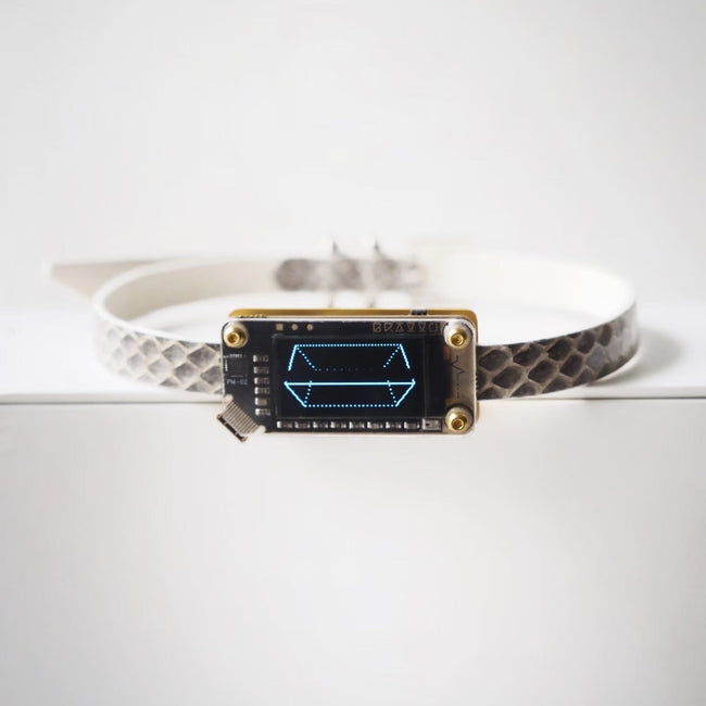 EchoWave II – Snakeskin LED Choker & Bracelet, Custom Engraving | Hushcrafts® Main Image
