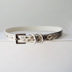 EchoWave II – Snakeskin LED Choker & Bracelet, Custom Engraving | Hushcrafts®