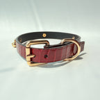 Gilded Surrender – Snakeskin Leather Choker with Chain & Bell | Hushcrafts®