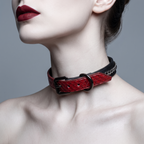 Collar assembled – red python front view with gunmetal buckles model wear