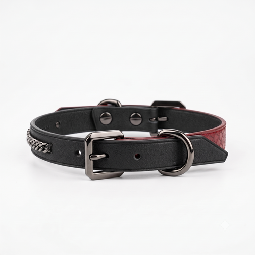 Collar assembled – black cowhide front view with chain accent