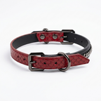 Collar assembled – red python front view with gunmetal buckles
