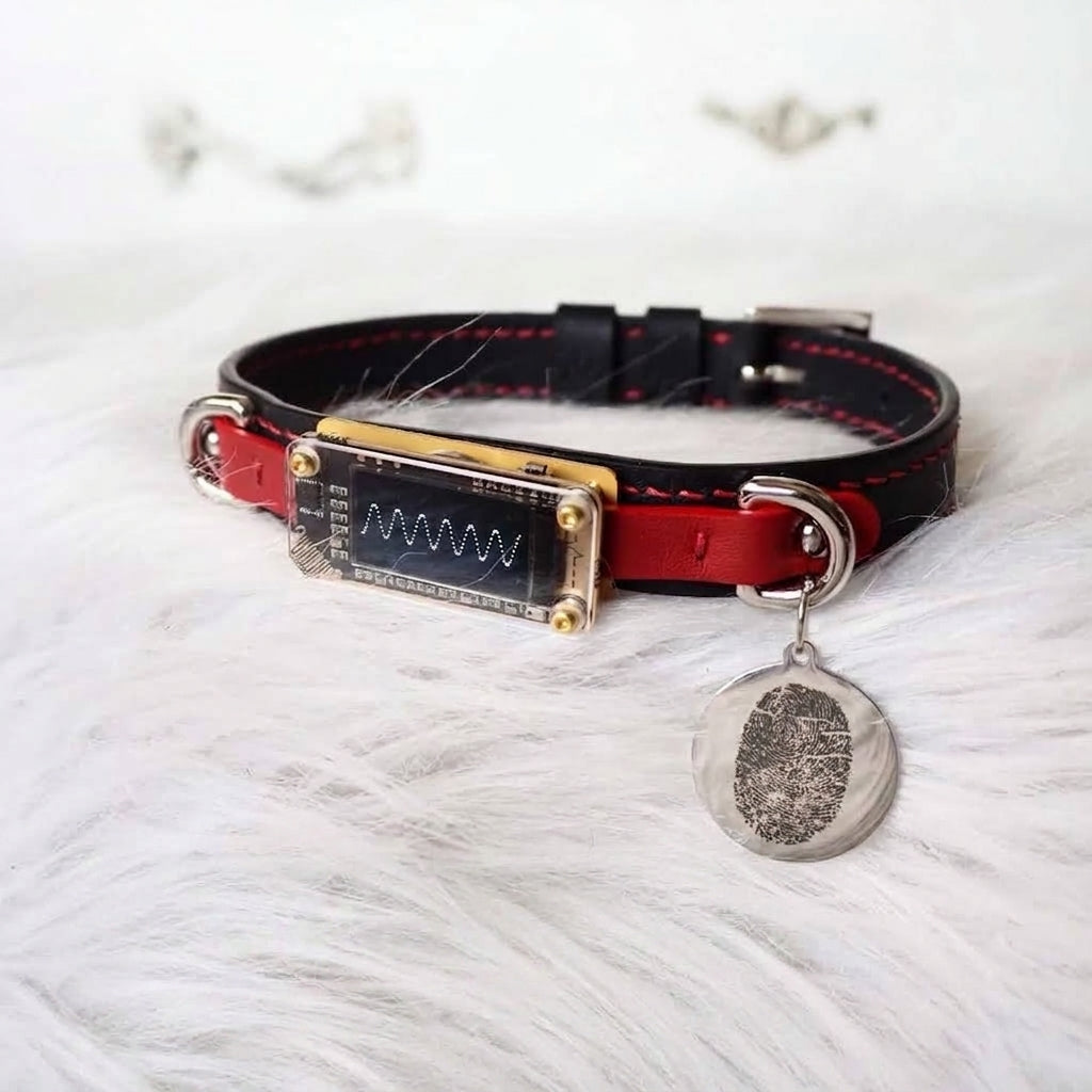 EchoWave Edge – Double-Layer Cowhide LED Choker with O-Rings | Hushcrafts®