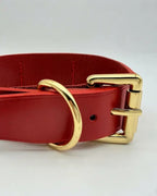 A red leather collar with a polished gold-tone metal ring and buckle, displayed on a clean white background.