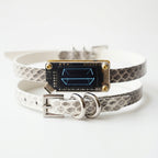 EchoWave II – Snakeskin LED Choker & Bracelet, Custom Engraving | Hushcrafts®