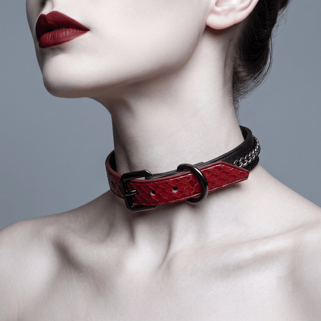 Dual Skin Collar & Cuff Set – Red Python × Black Leather | Hushcrafts® Main Image