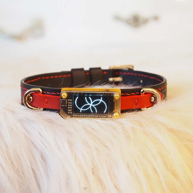 EchoWave Edge – Double-Layer Cowhide LED Choker with O-Rings | Hushcrafts® Main Image
