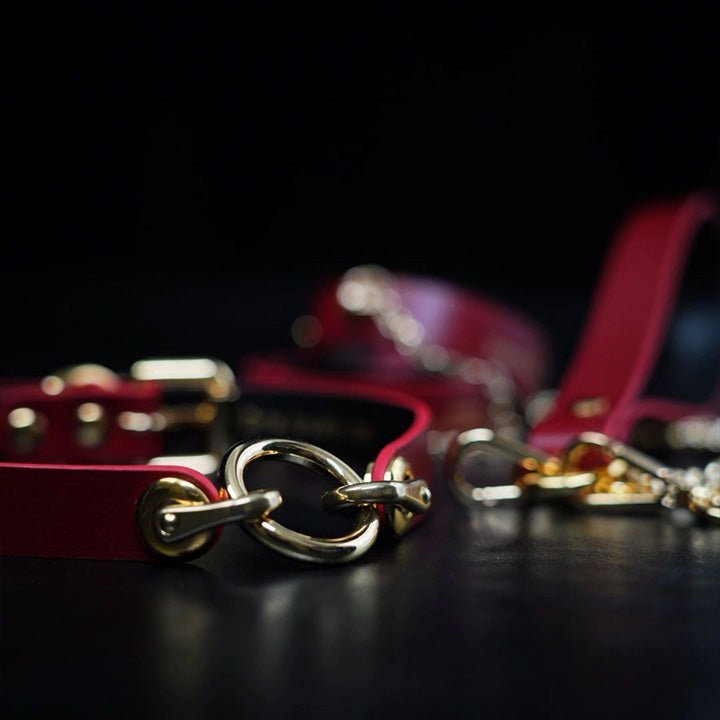 HushCrafts red leather O-ring choker with a heart chain necklace, featuring a stylish lock choker and an adult collar with a leash for a bold and elegant statement.