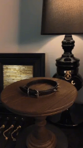 Rebel Spike Choker – Cowhide Leather with Stainless Steel Hardware | Hushcrafts® - Hushcrafts LLC