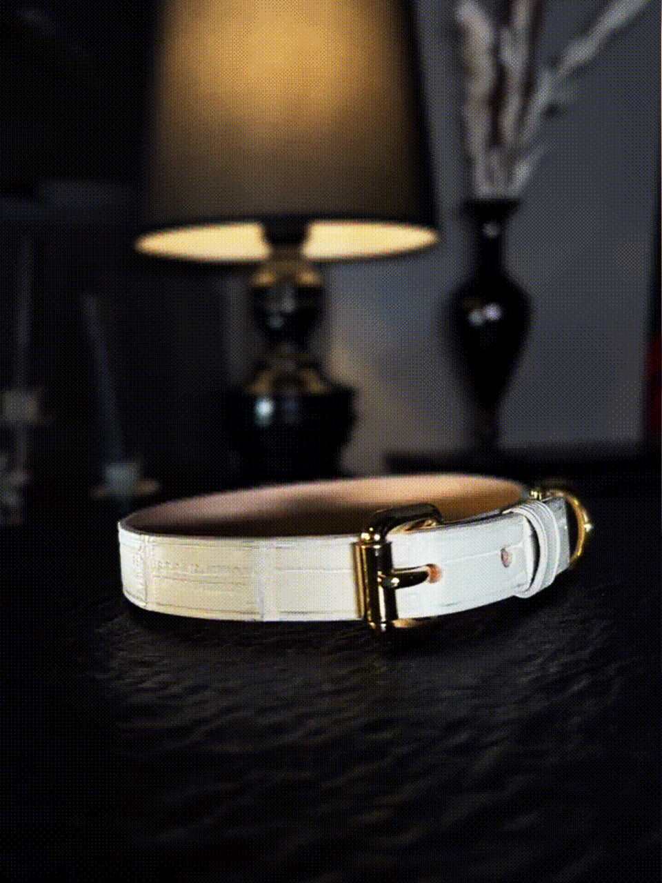 White leather collar with a locking collar design, perfect for submissive collar styles by HushCrafts. A luxurious and stylish accessory, ideal for alternative fashion lovers seeking elegance and boldness.